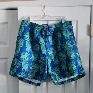 Club Room Blue and Green Pineapple Swim Trunks